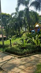 Hillcrest Arcadia (D11), Condominium #172894602